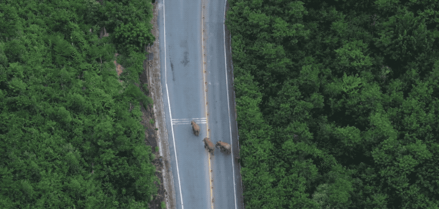 IMG_7863.GIF