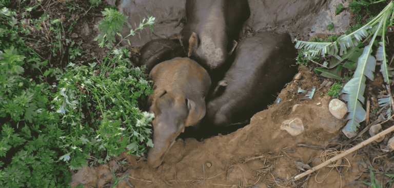 IMG_7865.GIF