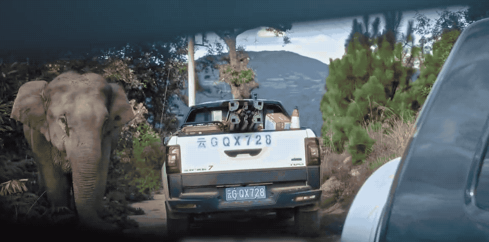 IMG_7867.GIF