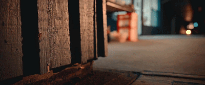 IMG_5391.GIF