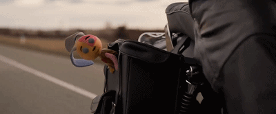 IMG_5400.GIF
