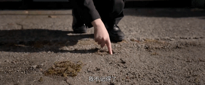 IMG_5410.GIF