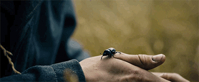 IMG_0178.GIF