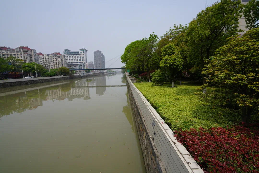 IMG_2289.JPG