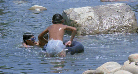 IMG_4440.GIF