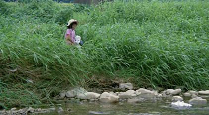 IMG_4455.GIF