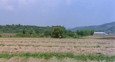IMG_4473.GIF