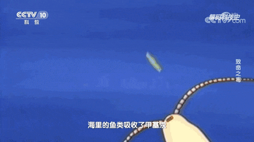 IMG_4375.GIF