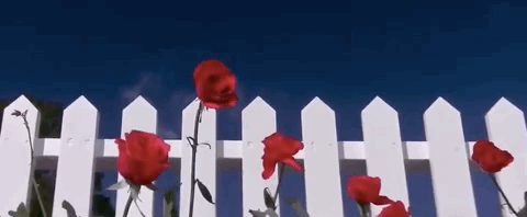 IMG_5715.GIF