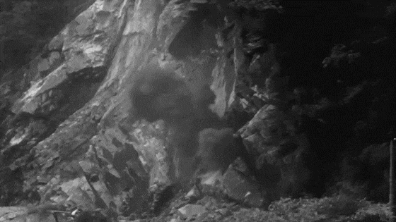 IMG_2775.GIF