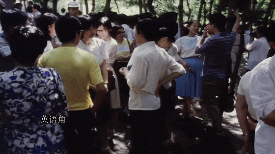 IMG_2832.GIF