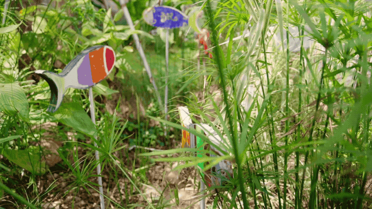 IMG_7848.GIF
