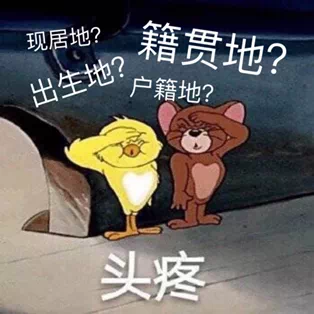 IMG_9390.PNG