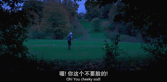 IMG_1117.GIF