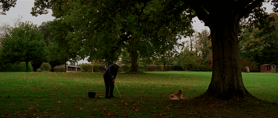 IMG_1126.GIF