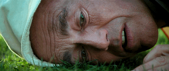 IMG_1137.GIF
