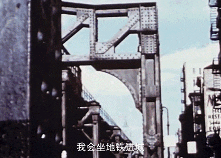 IMG_1462.GIF