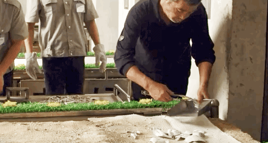IMG_2160.GIF