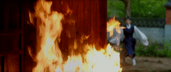 IMG_5151.GIF