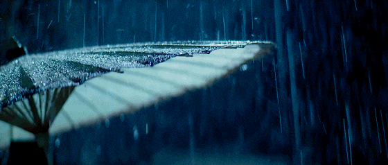 IMG_5157.GIF