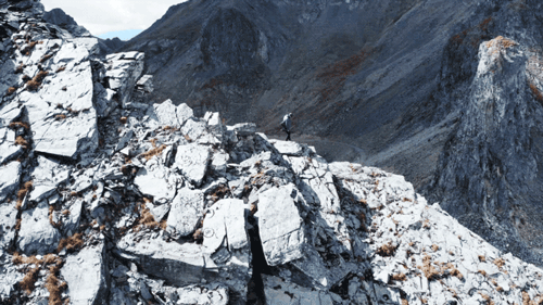 IMG_5646.GIF