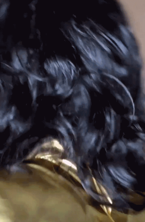 IMG_5817.GIF