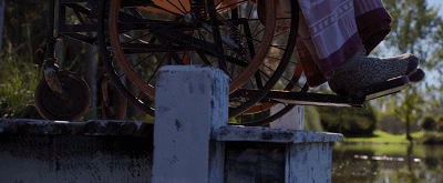 IMG_6948.GIF