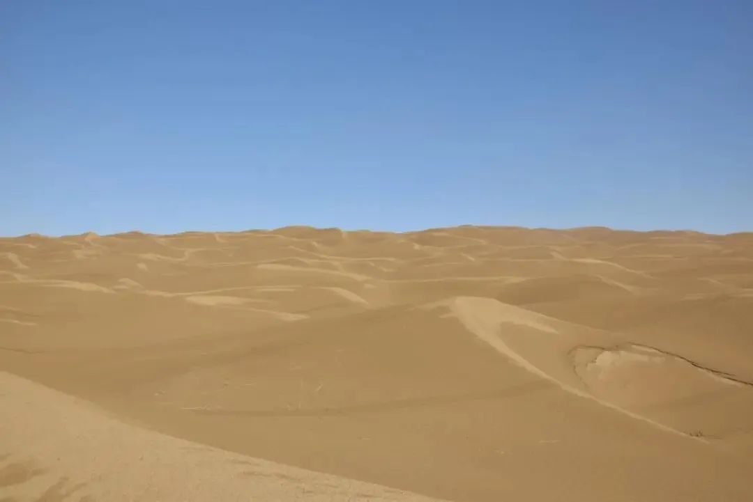 9.jpeg