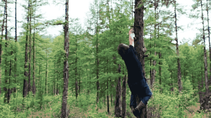 IMG_9975.GIF