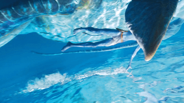 IMG_1958.GIF