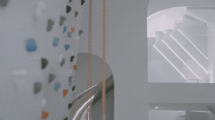 IMG_4220.GIF