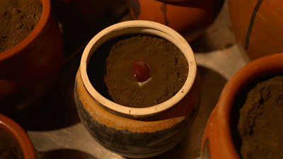 IMG_4926.GIF