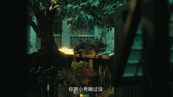 IMG_7809.GIF