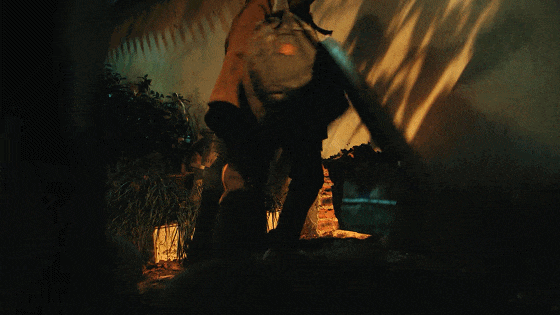 IMG_7828.GIF