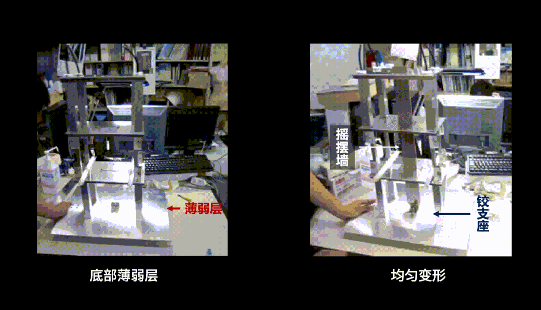 IMG_8306.GIF