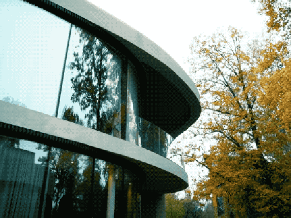 IMG_4961.GIF