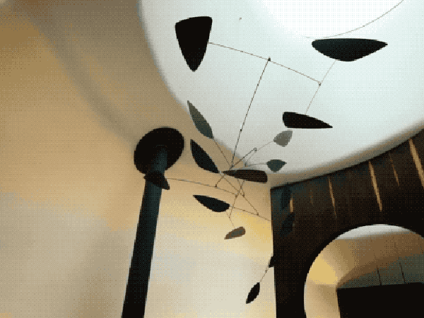 IMG_4979.GIF
