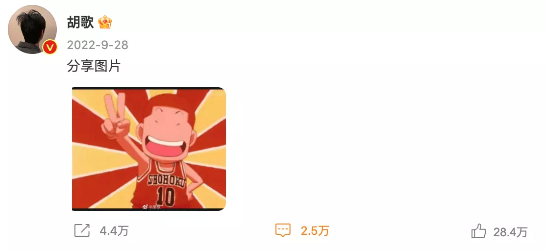 IMG_8312.PNG