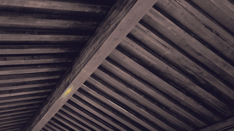 IMG_8709.GIF