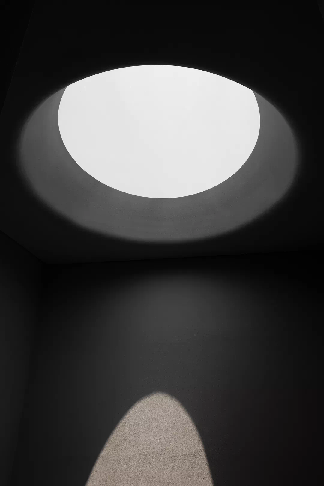 IMG_9682.PNG