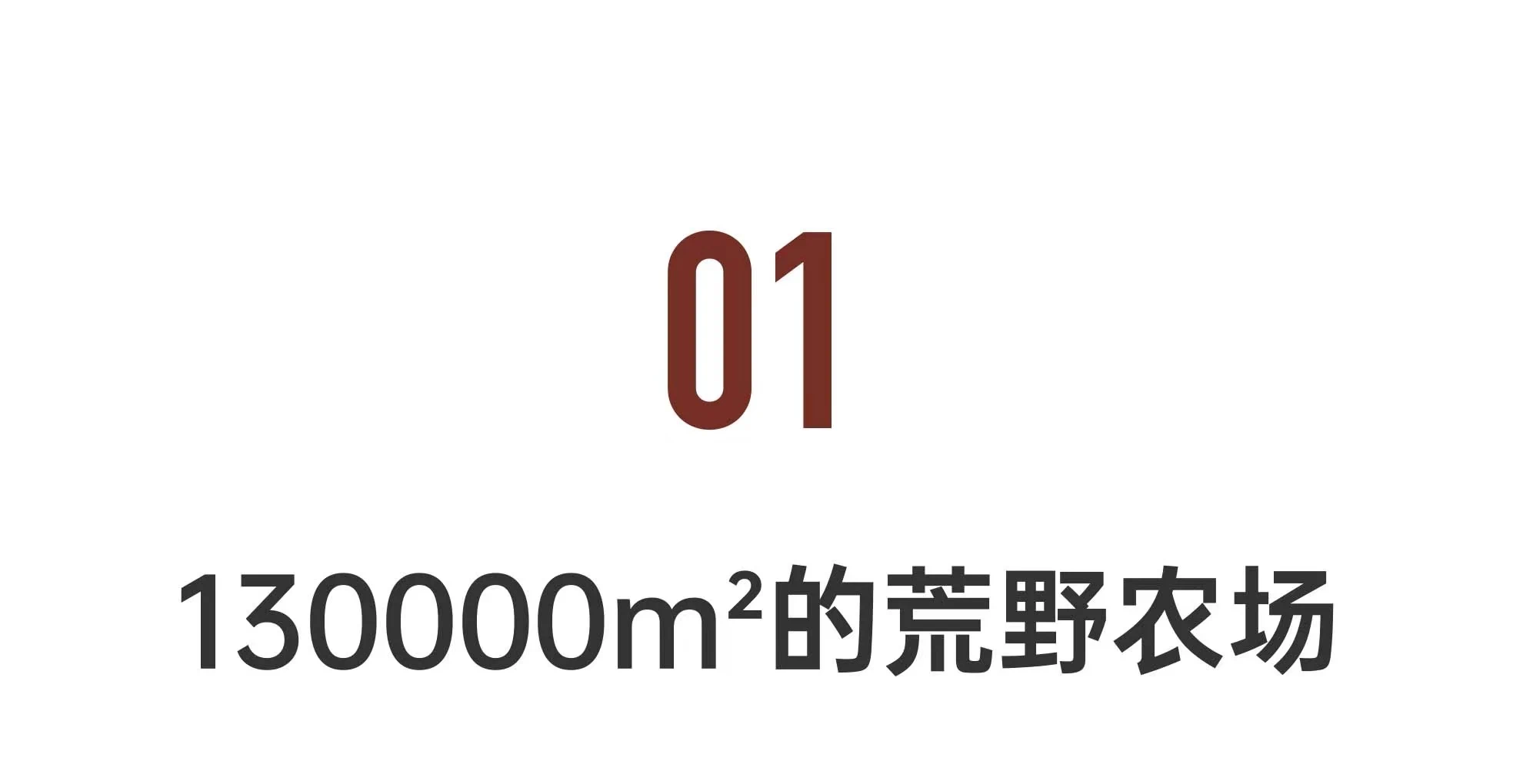 IMG_3173.PNG