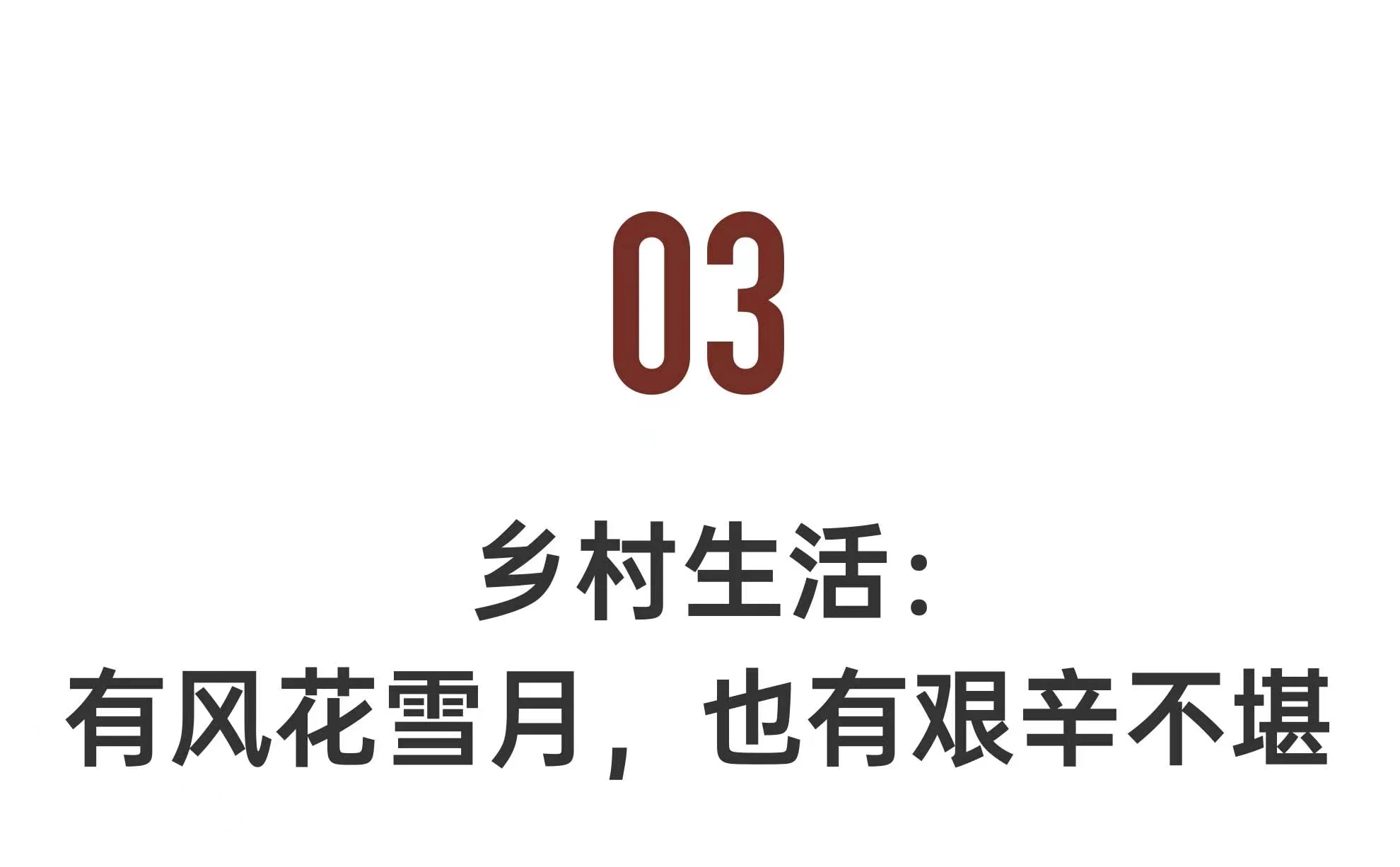 IMG_3203.PNG