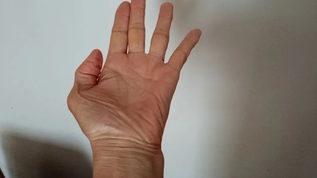 4.jpeg