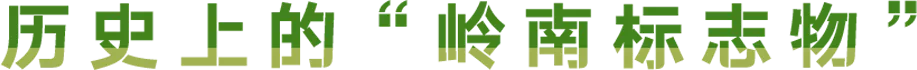 IMG_9468.PNG