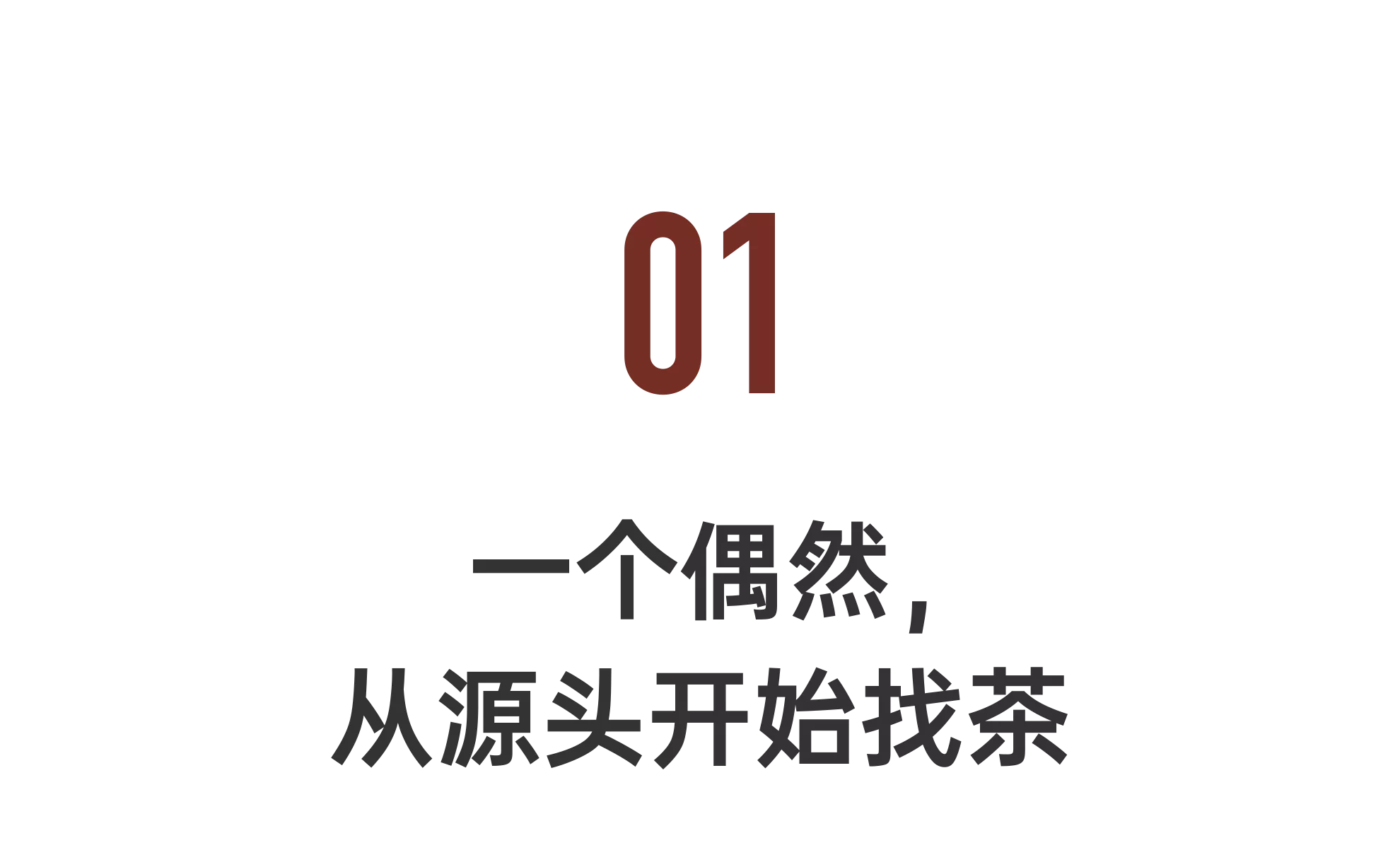 IMG_9711.PNG