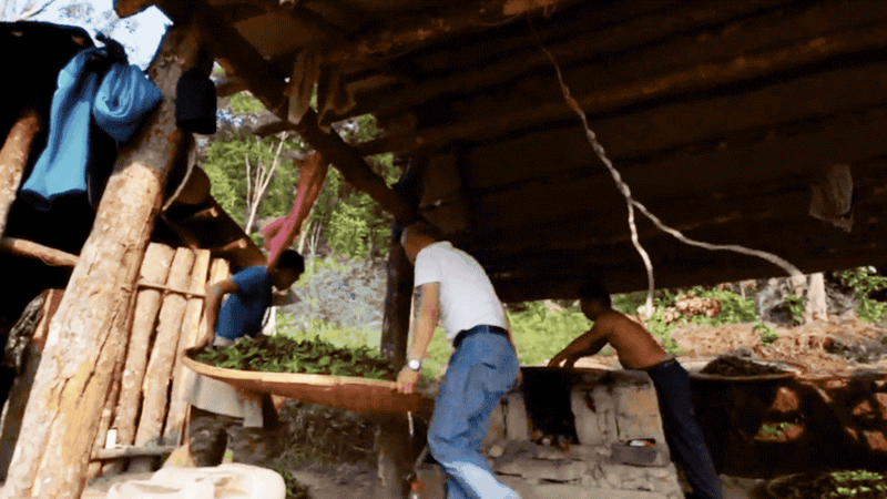 IMG_9713.GIF