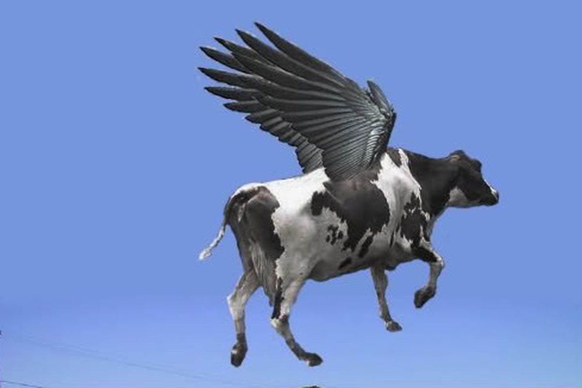 FlyingCow.jpg