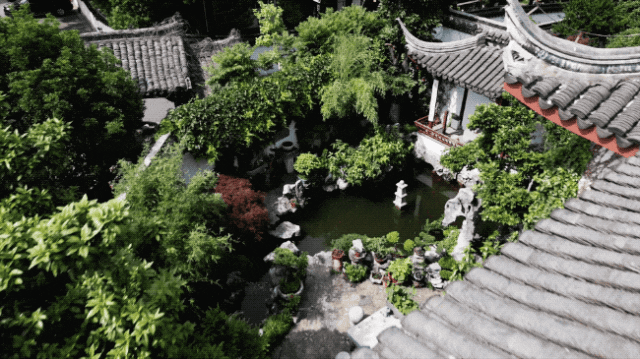 IMG_9436.GIF
