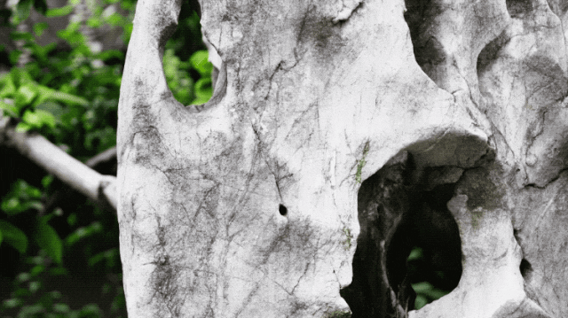 IMG_9442.GIF