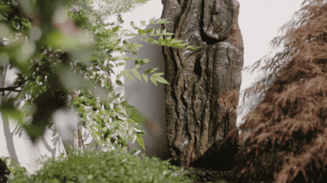 IMG_9444.GIF